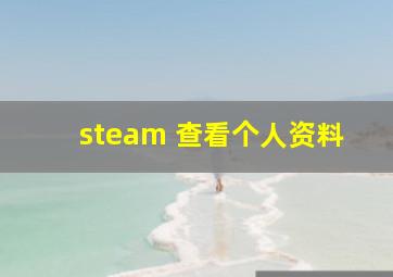 steam 查看个人资料